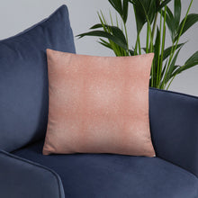 Load image into Gallery viewer, PASSION OUR PALACE Basic Pillow