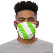 Load image into Gallery viewer, STRIPED ME DOWN Premium face mask