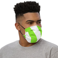 Load image into Gallery viewer, STRIPED ME DOWN Premium face mask