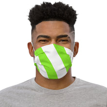 Load image into Gallery viewer, STRIPED ME DOWN Premium face mask