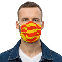 Load image into Gallery viewer, WANNA RACE Premium face mask