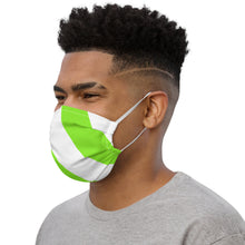 Load image into Gallery viewer, STRIPED ME DOWN Premium face mask