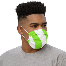 Load image into Gallery viewer, STRIPED ME DOWN Premium face mask