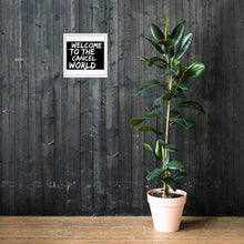 Load image into Gallery viewer, CANCEL WORLD Framed poster