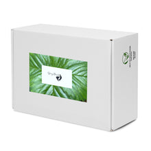 Load image into Gallery viewer, Strawberry Summer Jungle Men’s high top canvas shoes