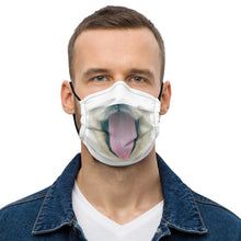 Load image into Gallery viewer, Hey Doggy Doggy Face mask Face mask