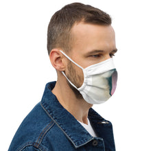 Load image into Gallery viewer, Hey Doggy Doggy Face mask Face mask