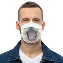 Load image into Gallery viewer, Hey Doggy Doggy Face mask Face mask