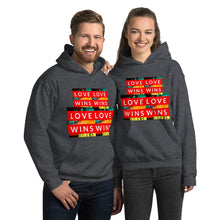 Load image into Gallery viewer, LOVE WINS Unisex Hoodie