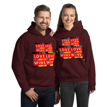 Load image into Gallery viewer, LOVE WINS Unisex Hoodie
